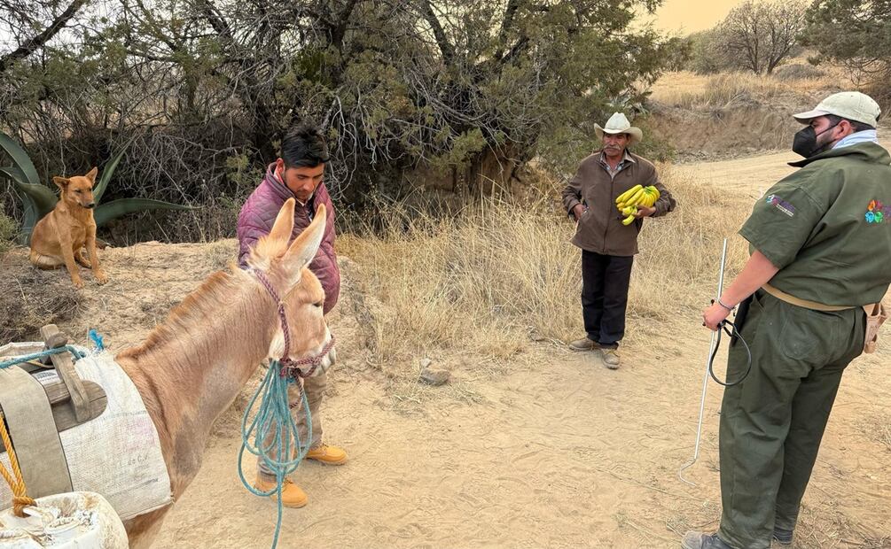 Foto: Zoológico del Altiplano del Estado de Tlaxcala