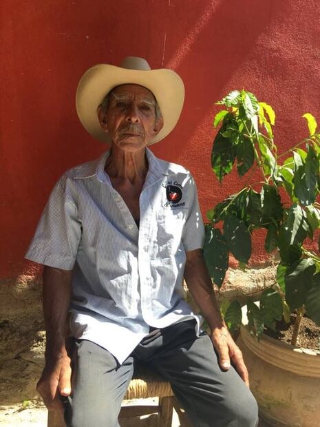 Café colimota, el futuro para las barras de especialidad