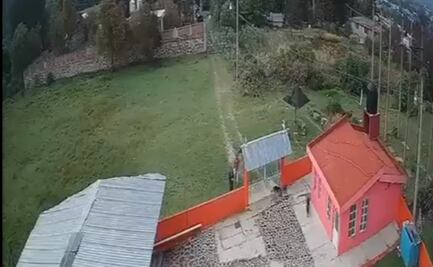 Sujetos disparan y matan a perro pastor alemán dentro de vivienda en El Oro