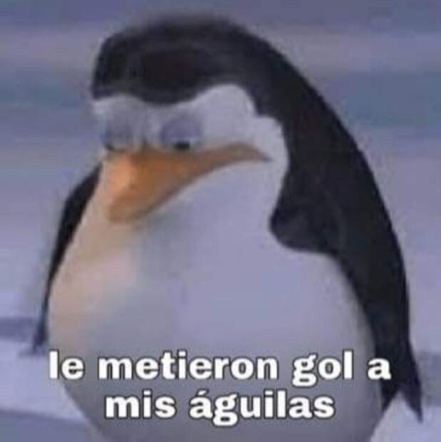 Los mejores memes de la racha negativa de las Águilas del América