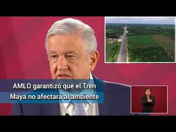 Tren Maya no afectará al medio ambiente ni despojará de tierras: AMLO