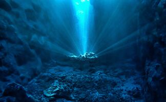 La vida en el océano profundo