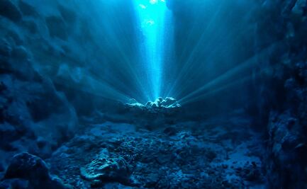 La vida en el océano profundo