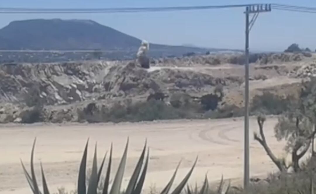 (Foto: tomada de video)