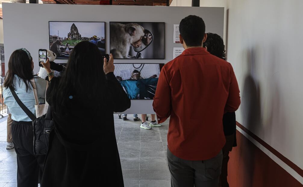 Recorrido por la edición 70 del World Press Photo en El Museo Franz Mayer Foto: Gabriel Pano/EL UNIVERSAL.