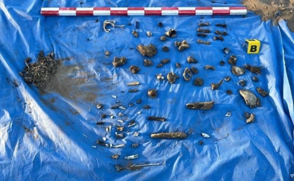 Fiscalía suma 8 cuerpos procesados tras hallazgo de las Madres Buscadoras en Santa Ana, Sonora