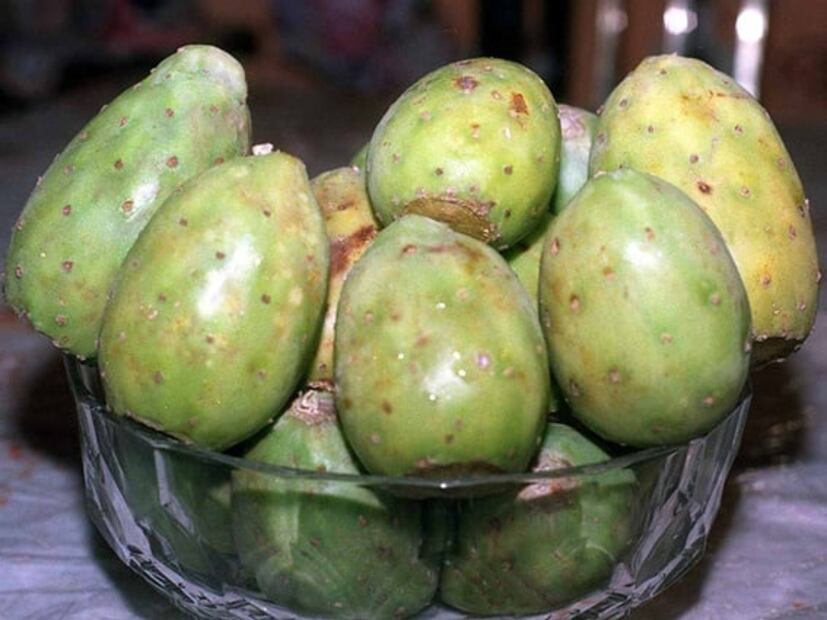 Conoce los tipos de tunas y sus beneficios