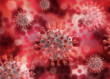 Nueva variante BA.2, es más difícil de detectar que ómicron; ya está presente en 40 países