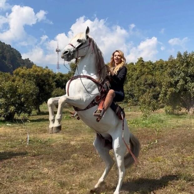 Michelle Renaud vive intrépida experiencia con un caballo: "Juré que me iba a morir"