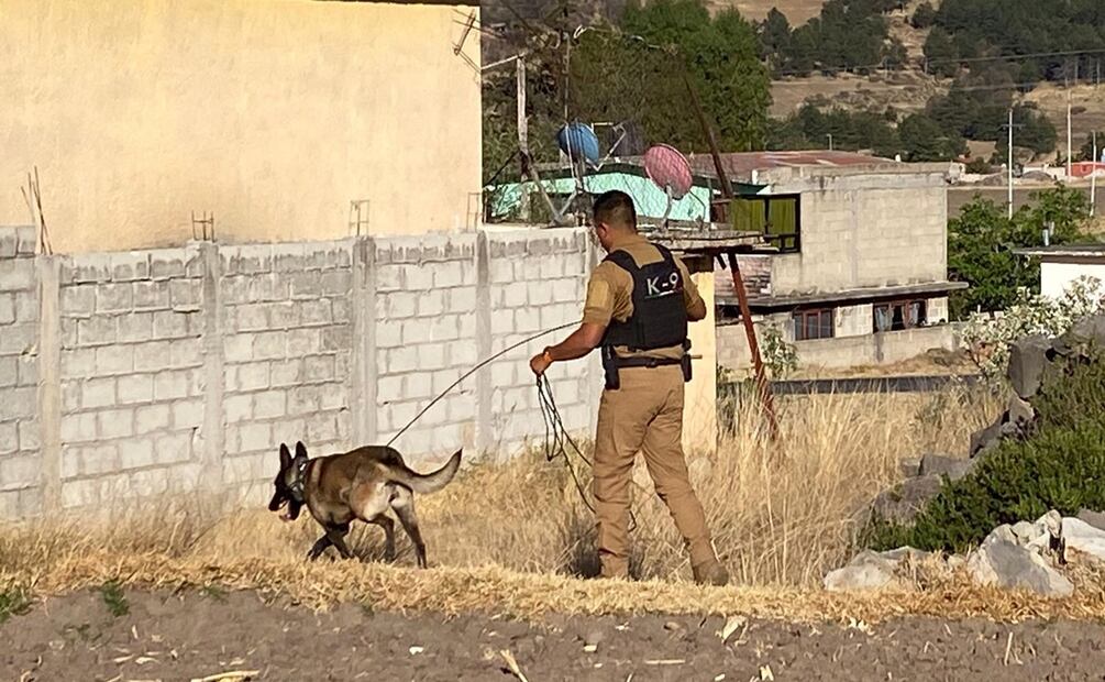Detienen a mujer relacionada con el secuestro y entierro de la víctima. Foto: Especial