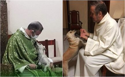 De Brasil, el sacerdote que lleva perros a misa para que los adopten 