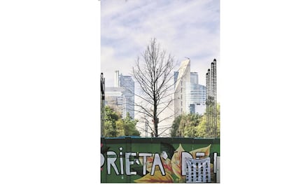 Recuento 2022. Ahuehuete que sembró polémica