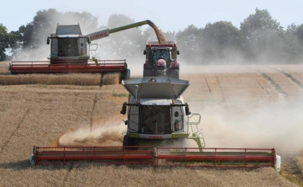 Comer mejor para salvar al planeta, pide la ONU a la humanidad
