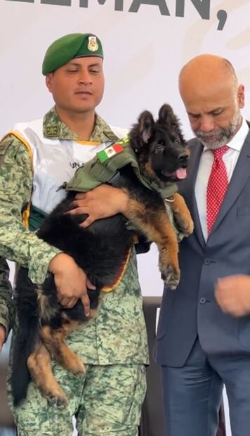 Arkadas porta su uniforme de nuevo binomio canino, con las banderas de México y Turquía. Foto: captura de pantalla