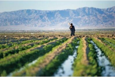 Preocupados, productores por arancel a exportaciones
