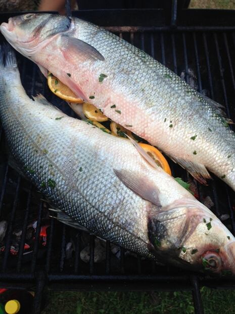Tipos de pescado y sus beneficios