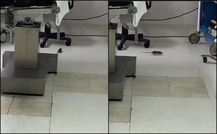 VIDEO: Captan a rata en quirófano de clínica del ISSSTE en BCS; autoridades admiten deficiencias
