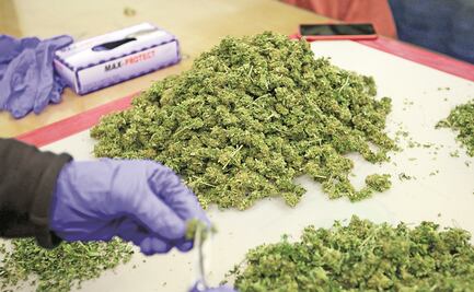 Uruguay, referente en legalizar la marihuana