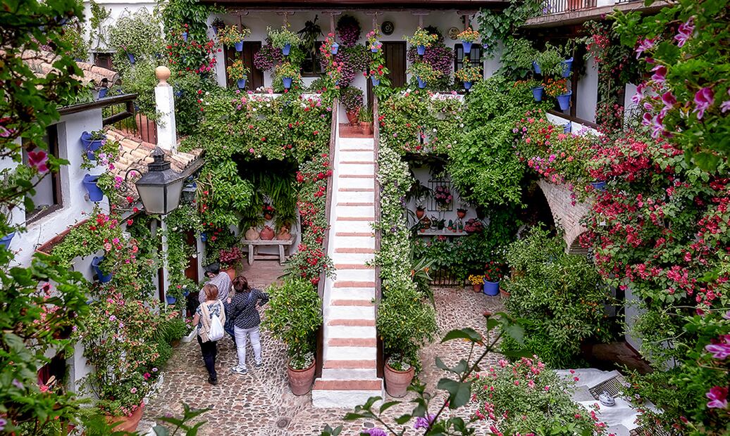 Festival de los Patios de Córdoba en España. Foto: Freepik