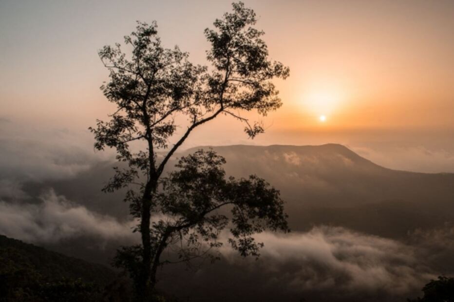 Selección de la editora: 5 paraísos de vida silvestre en México que otros países envidiarían