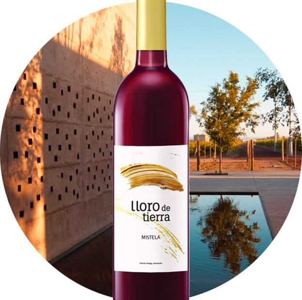 Vinos para brindar en fin de año. Foto: Especial