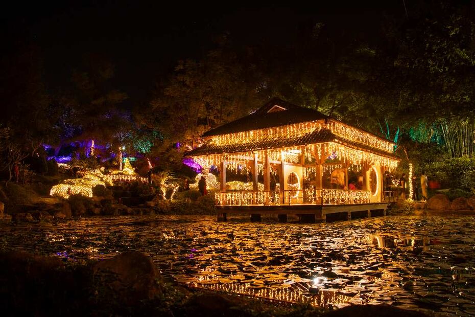 Foto: Jardines de México