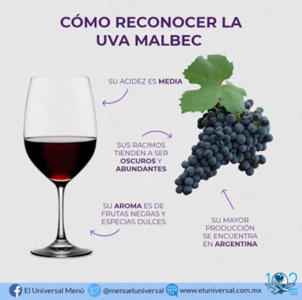 Cómo identificar una uva malbec 