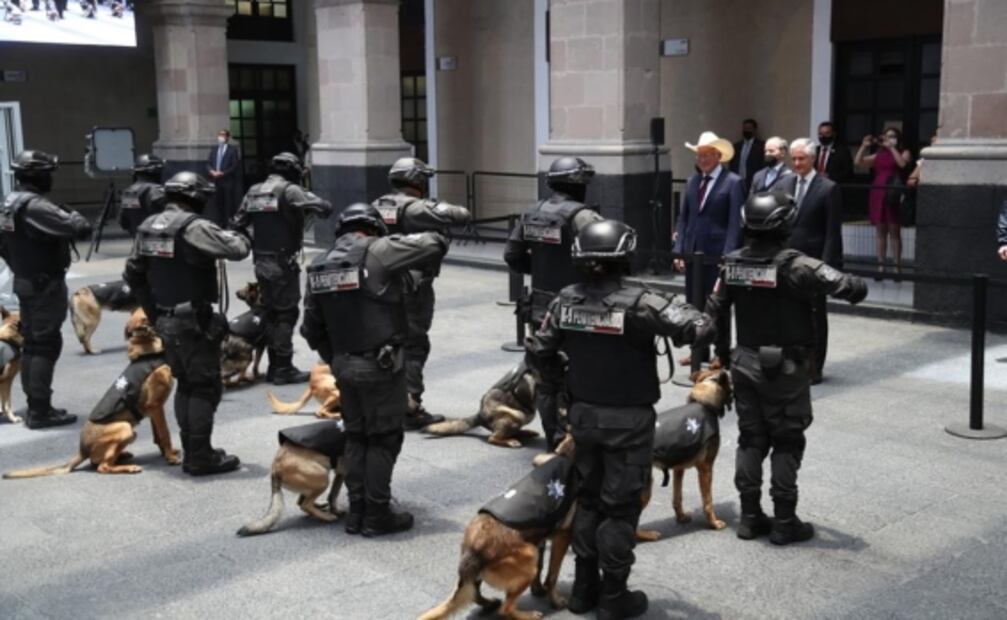 Embajada de Estados Unidos dona binomios caninos a penales del Edomex