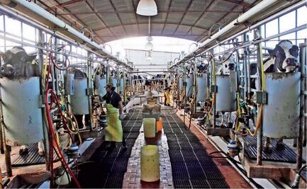 Mexican veterinarians sue Idaho dairy for human trafficking