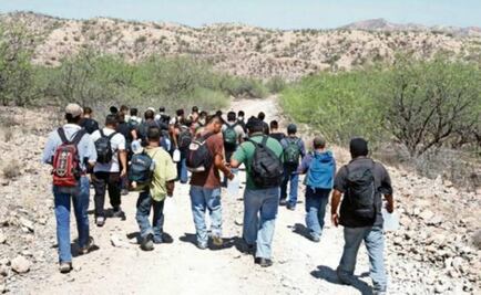 We don't care about Trump's wall: immigrant smugglers 