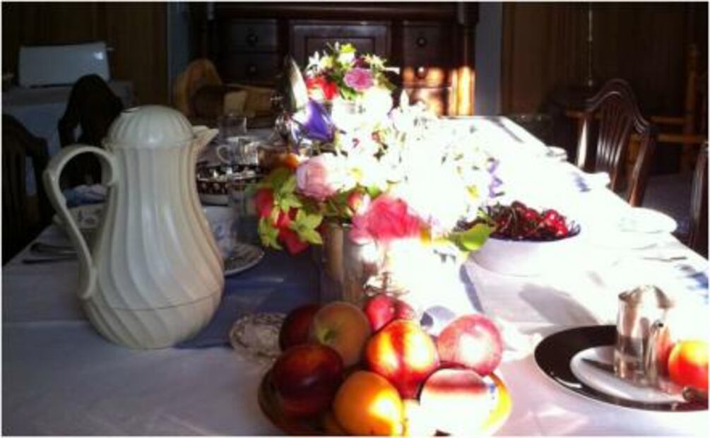 Finca Buenvino, un lugar de ensueño en Andalucía