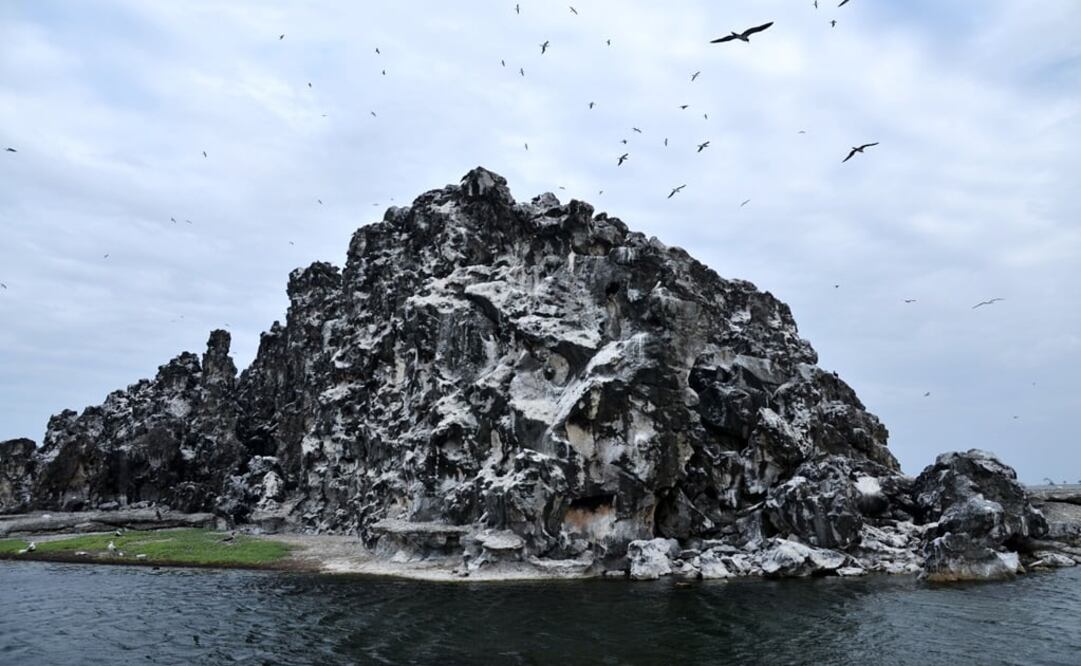 Clipperton Island is close to Acapulco – Photo: File photo/EL UNIVERSAL
