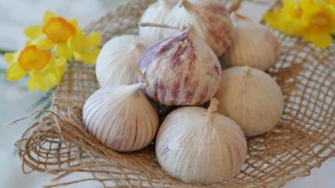 Ajo