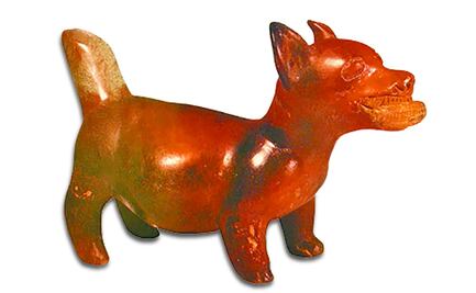 Los perros en el México antiguo