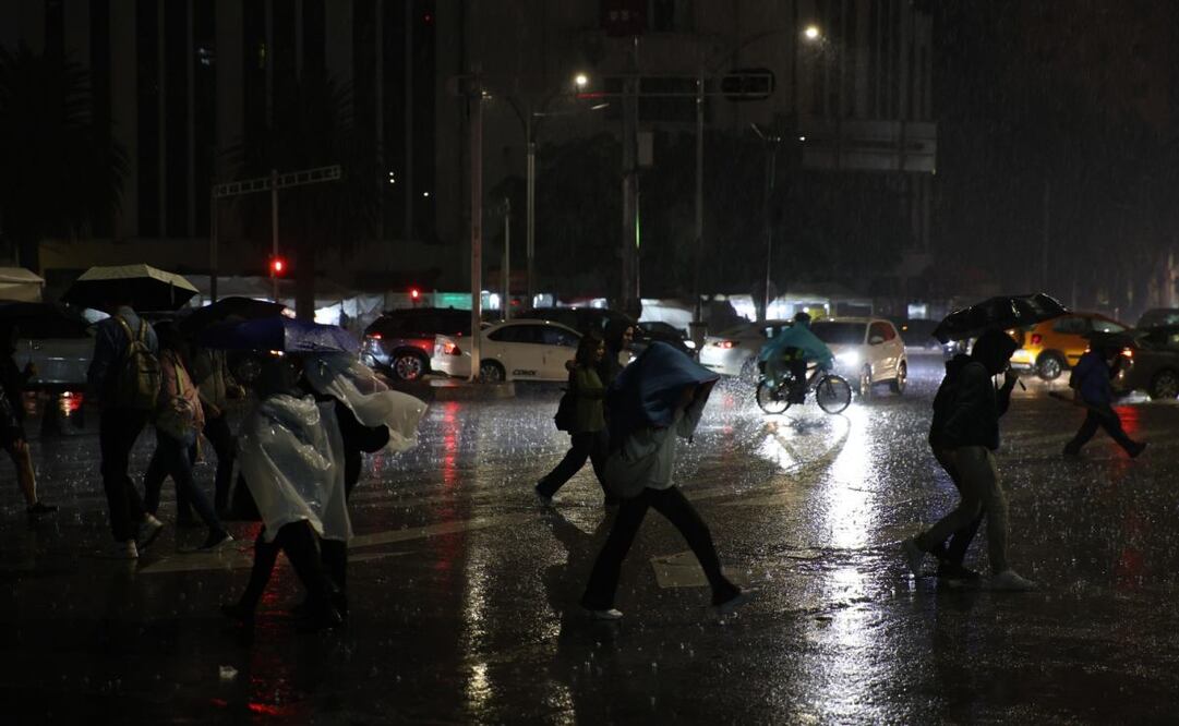 La lluvia registrada esta tarde causó caídas de árboles, inundaciones, suspensión del servicio de transporte público, entre otras afectaciones. Foto: Juan Boites / EL UNIVERSAL