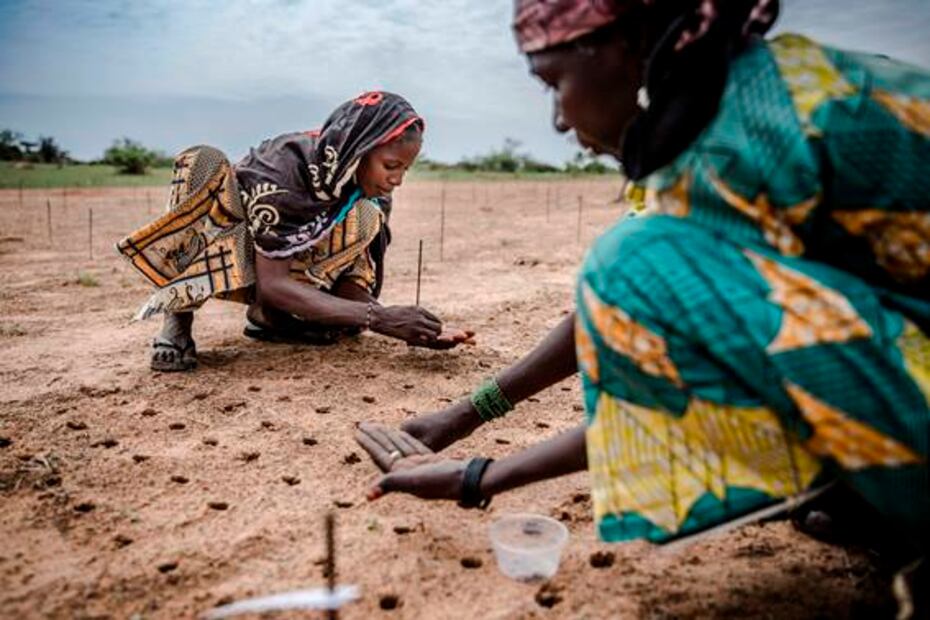 Comer mejor para salvar al planeta, pide la ONU a la humanidad