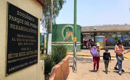 Reportan fuera de peligro a niño mordido por un lobo en Zoológico de Neza