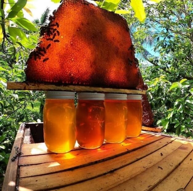 Coronavirus: Alivia tus manos resecas por el gel antibacterial