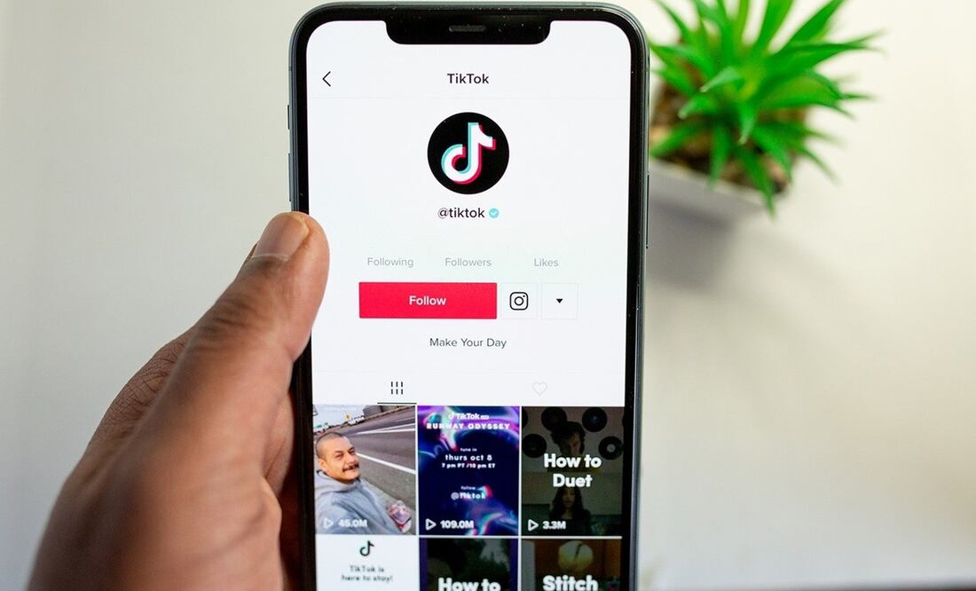 TikTok es una red social de origen chino / Foto: Pixabay