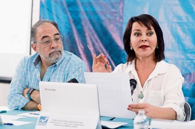 Carpinteyro plantea despenalizar marihuana