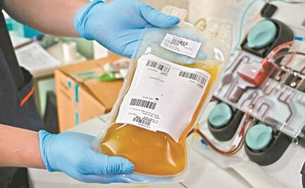 Santos Mondragón: ¿Cuáles son los requisitos para donar plasma y quiénes pueden hacerlo, según IMSS?