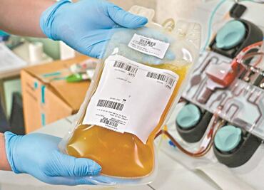 Santos Mondragón: ¿Cuáles son los requisitos para donar plasma y quiénes pueden hacerlo, según IMSS?