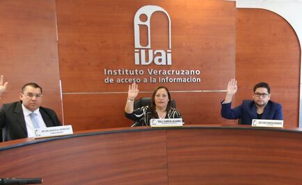 Fiscalía Anticorrupción cita a declarar a comisionados de transparencia de Veracruz