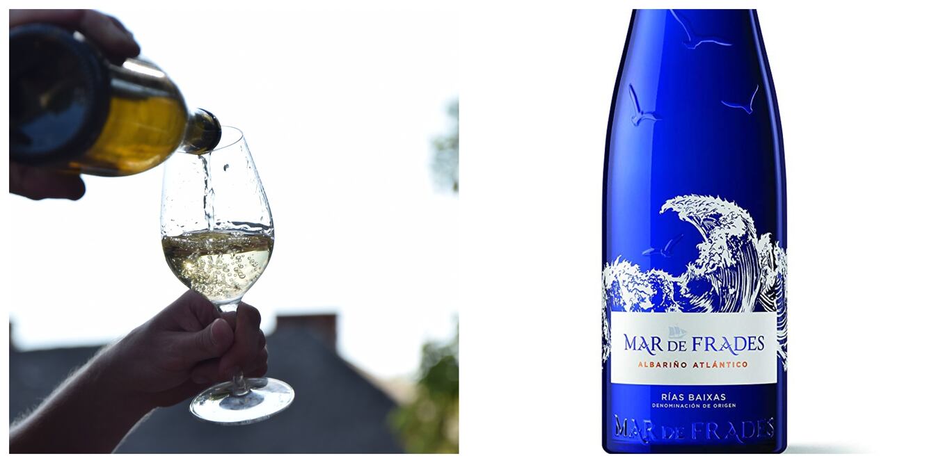 Fotos: Cortesía y Pixabay