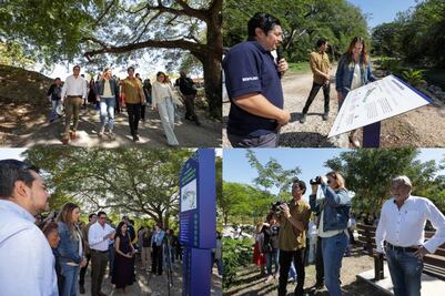 Mérida construye el primer Bio-Corredor Verde; buscan reducir el calor, mitigar inundaciones y proteger la biodiversidad