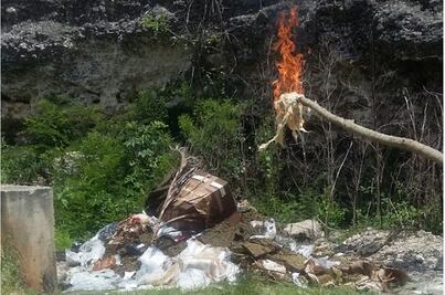 Destruyen droga y pepino de mar en Yucatán