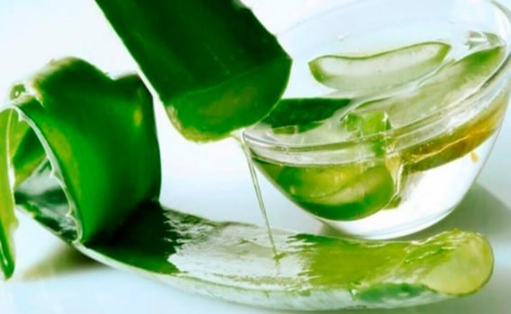Aprende a hacer gel de aloe vera casero, el mejor para tus rizos 