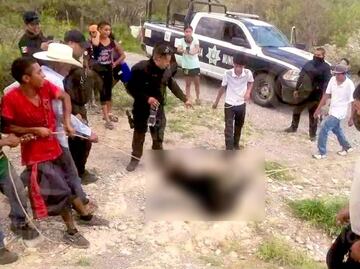 Video. Policías y pobladores asfixian a osezno y sonríen para la foto; Arturo Islas pide justicia