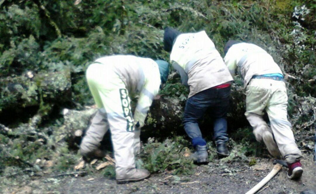 Foto: Tomada de @RomeroQuintanar