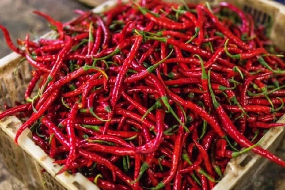 Si padeces gastritis evita comer estos alimentos